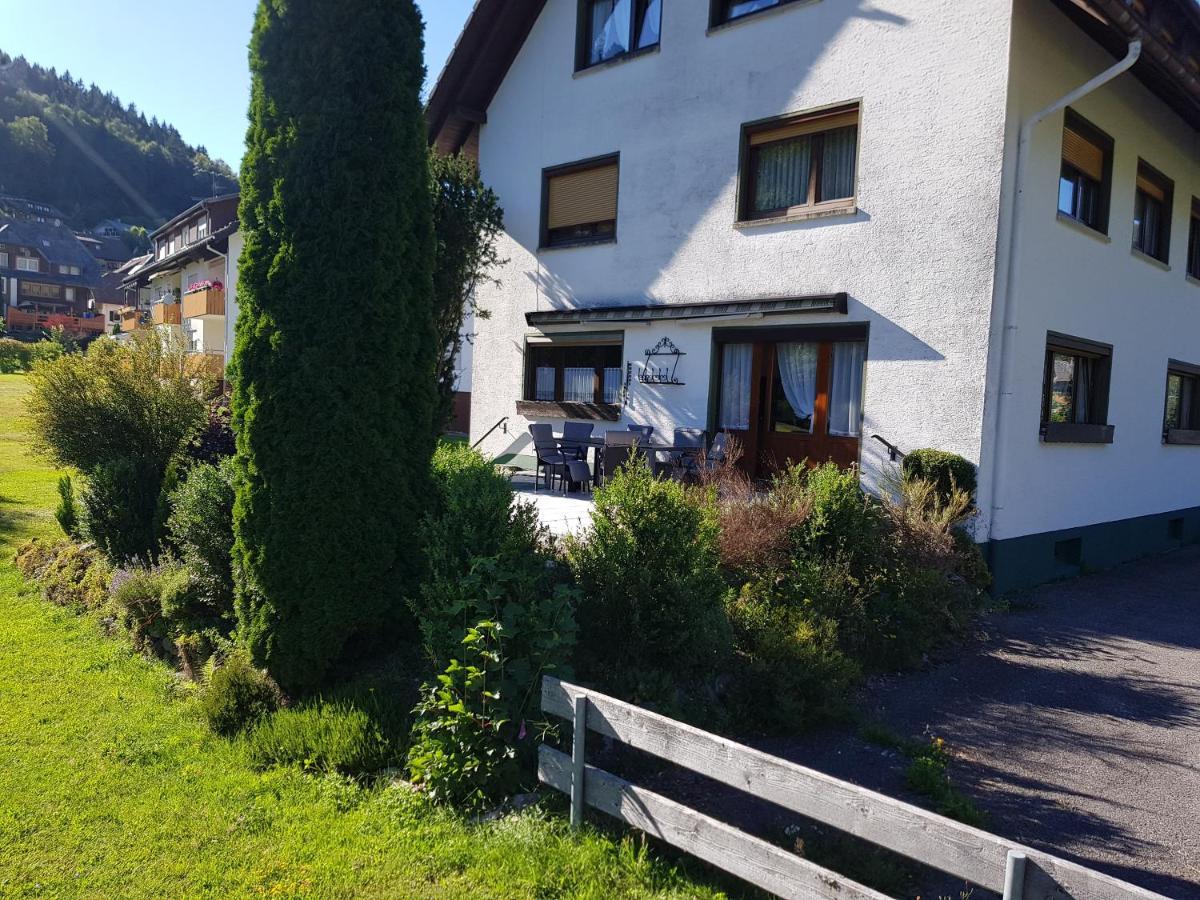 Am Wehrastrand App Eg Todtmoos Buitenkant foto